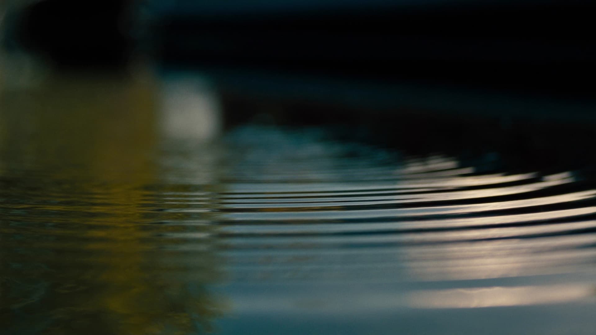 Close-up of ripples spreading across the water at Browning's Pool, Little Venice